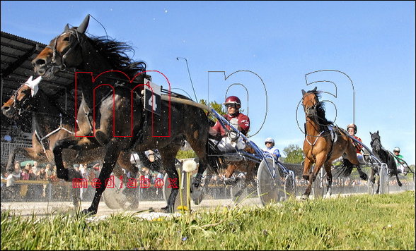 Eigene Renn- und Trainingsfotos - 