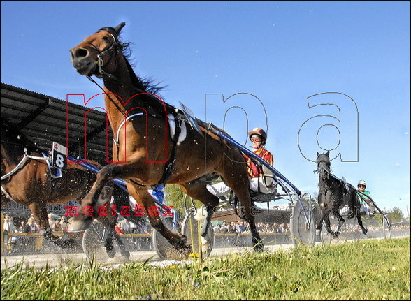 Eigene Renn- und Trainingsfotos - 