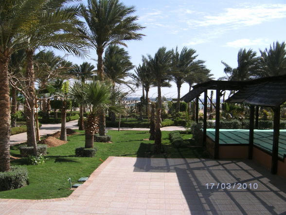 Sharm el Sheik 2010 - 