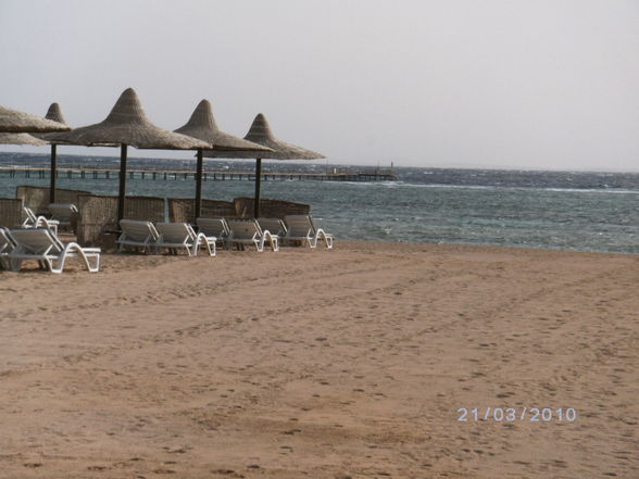 Sharm el Sheik 2010 - 