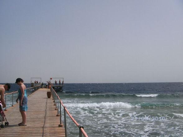 Sharm el Sheik 2010 - 