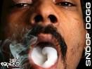 snopp Dogg - 