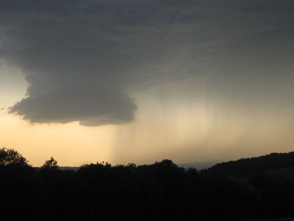 Meine 1 Wallcloud - 