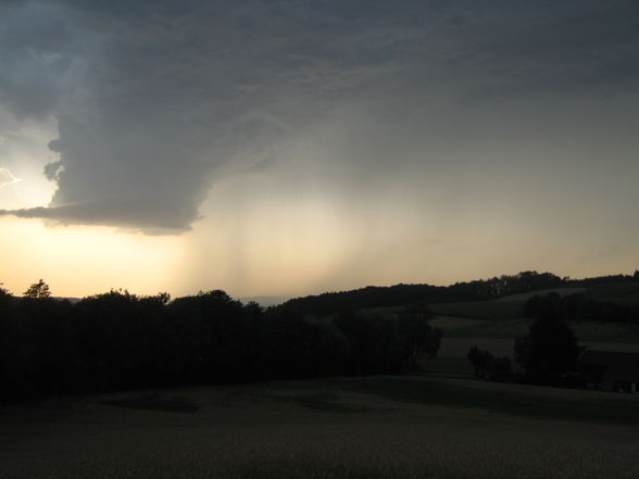 Meine 1 Wallcloud - 