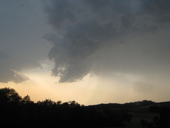 Meine 1 Wallcloud - 