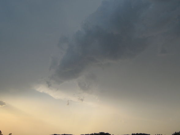 Meine 1 Wallcloud - 