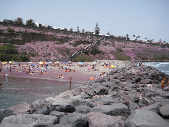 ***Cran Canaria 2008*** - 