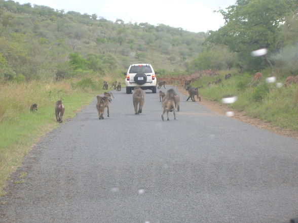 Südafrika - Durban März 2008 - 