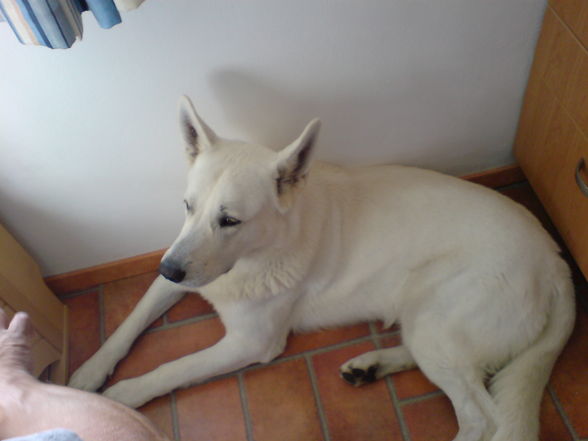 Handy fotos - 