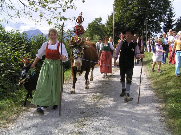 auf da alm da gibt's ka sünd!!! - 