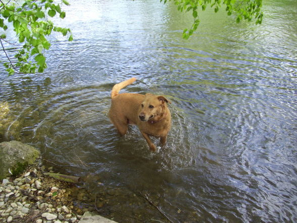 Meine Lieblinge!!!!!!!!!! - 