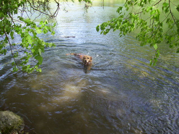 Meine Lieblinge!!!!!!!!!! - 