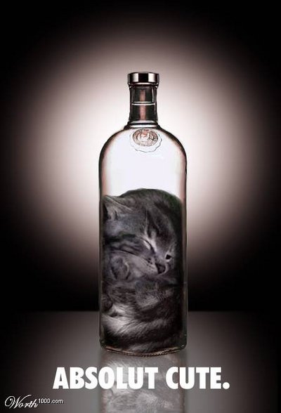 Absolut Wodka - 