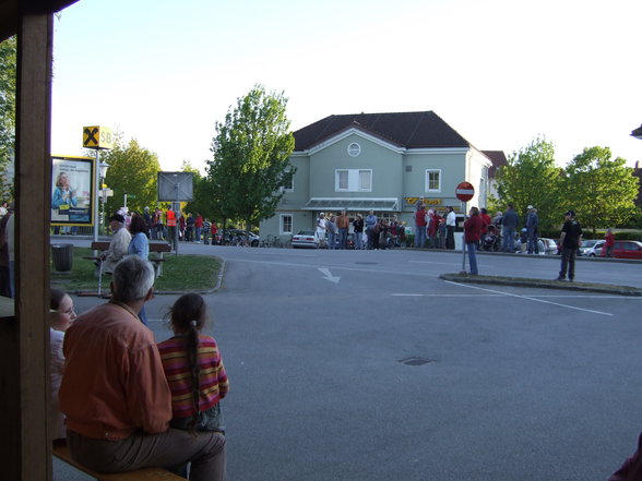 Maibaum 2007 - 