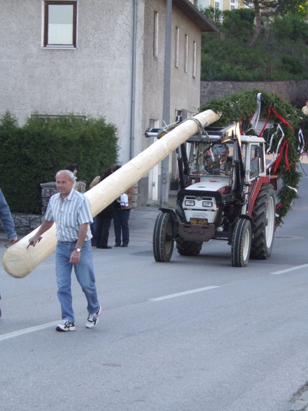 Maibaum 2007 - 