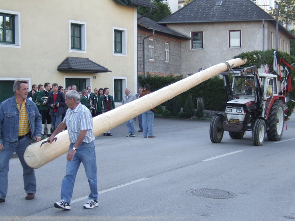 Maibaum 2007 - 