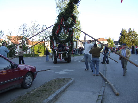 Maibaum 2007 - 