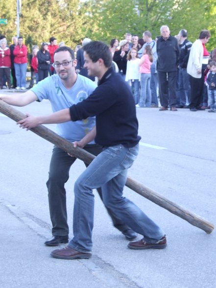 Maibaum 2007 - 