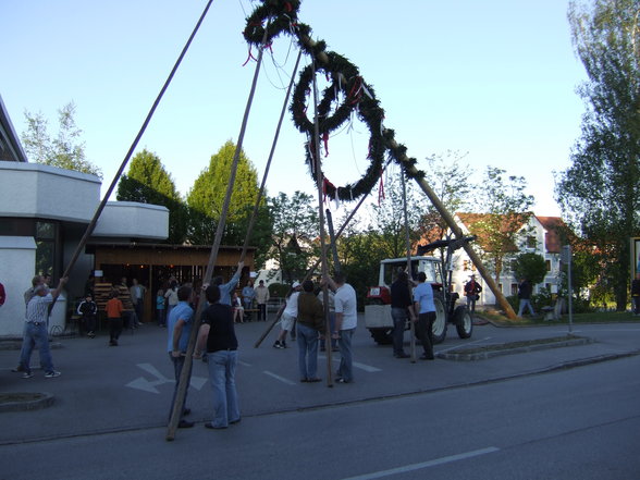 Maibaum 2007 - 