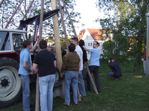 Maibaum 2007 - 