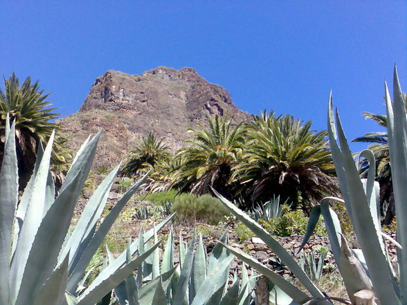 Urlaub Teneriffa Februar 2007 - 