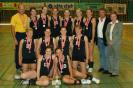 volleyball - 