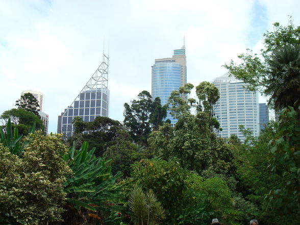 Sydney New Years 2008 - 