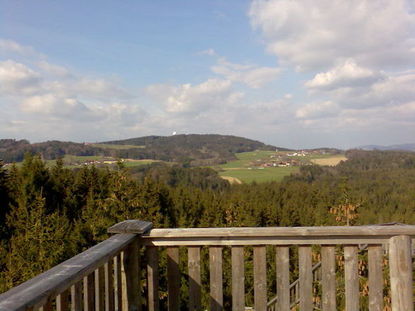 Baumkronenweg - 