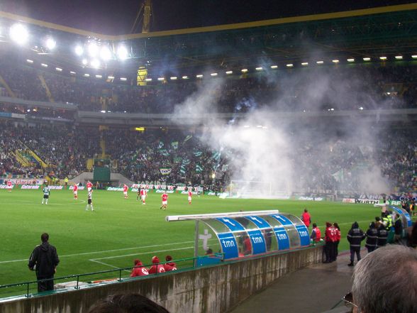 Sporting - Benfica Lissabon - 