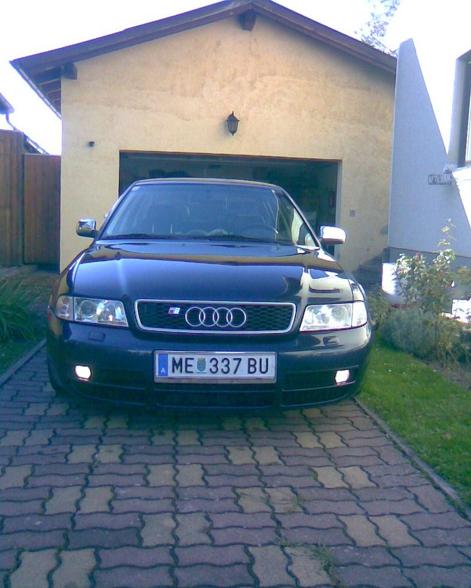 Meine Audis - 