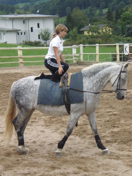 reiten - 