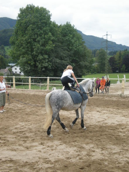 reiten - 