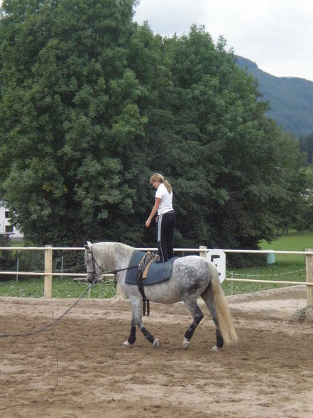 reiten - 