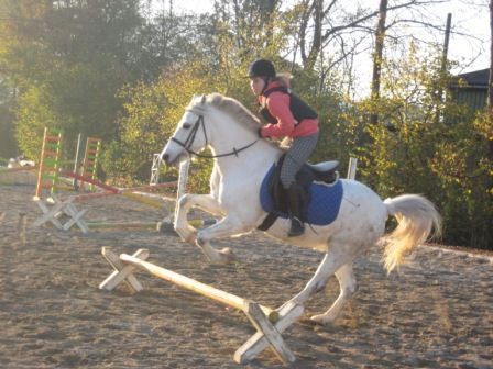 reiten - 