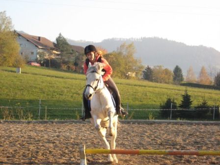 reiten - 