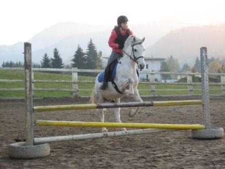 reiten - 