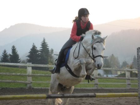 reiten - 