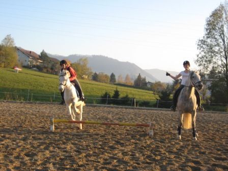 reiten - 