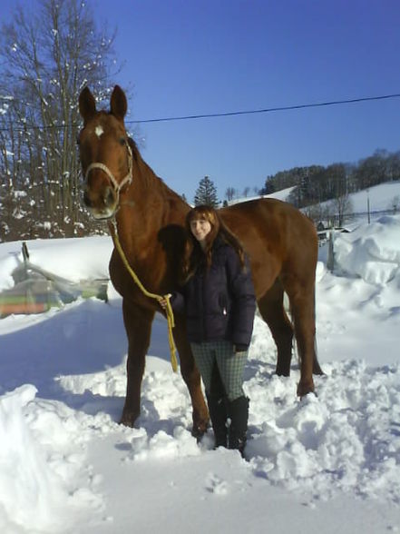 mein Pferd (: - 