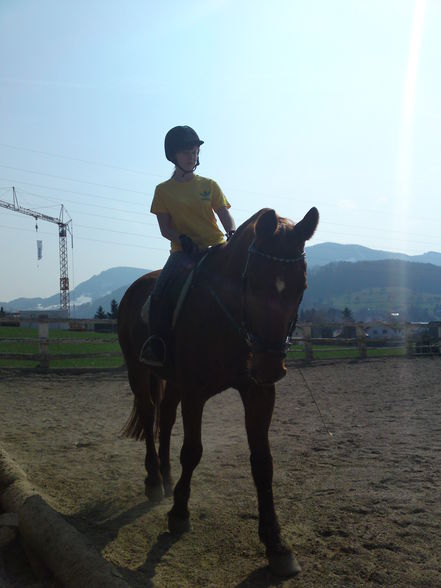 mein Pferd (: - 