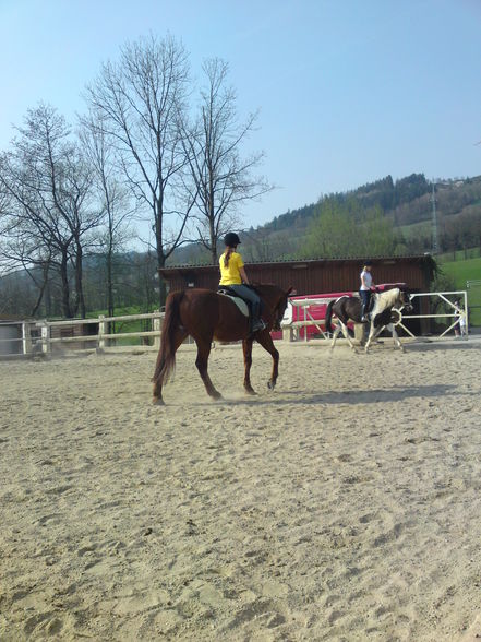 mein Pferd (: - 