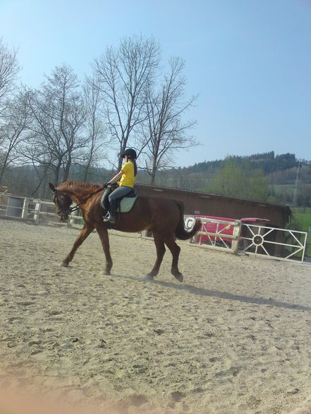 mein Pferd (: - 