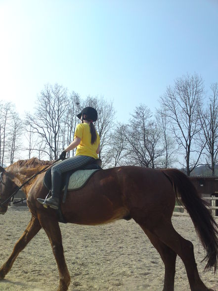 mein Pferd (: - 