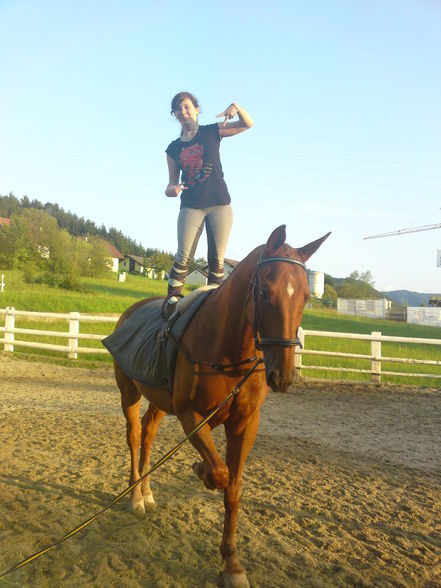 mein Pferd (: - 