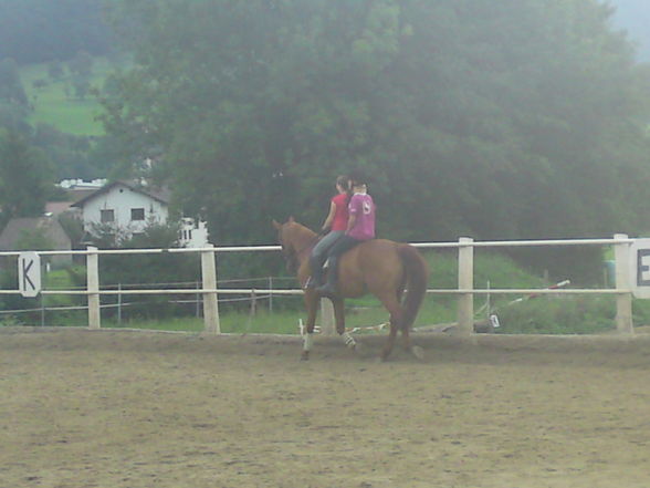 mein Pferd (: - 