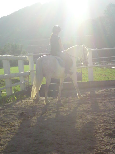 reiten - 