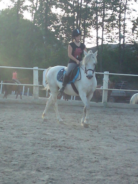 reiten - 