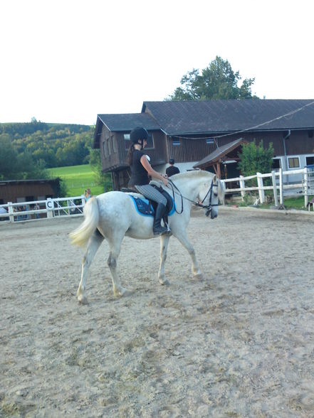 reiten - 