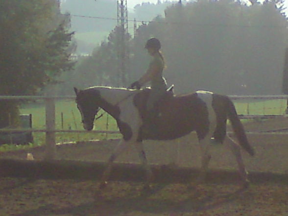 reiten - 