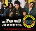 papa roach - 